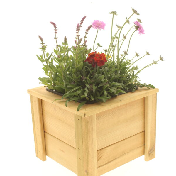 plantenbak inclusief planten